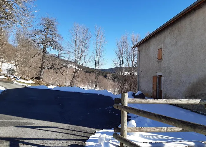 別荘 Convivial Avec Jardin, Accepte Animaux, Ideal Pour Nature Et Randonnees En Auvergne - Fr-1-496-197 La Chambonie